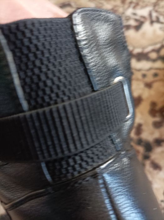 Женские сапоги на осень и зиму