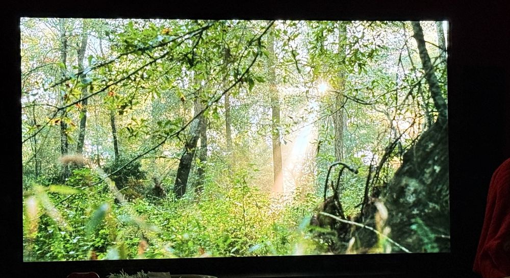 Telewizor 4K LG OLED C11 55” stan bardzo dobry