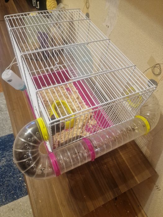 Криски  хлопчики