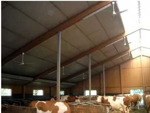 Wentylator mieszacz powietrza poziomy do obór MultiFan - PV600