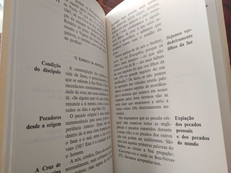 Alberto Cosme do Amaral - Fátima nos caminhos do homem