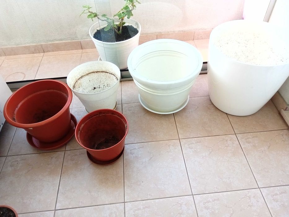 Vasos de interior e/ou exterior