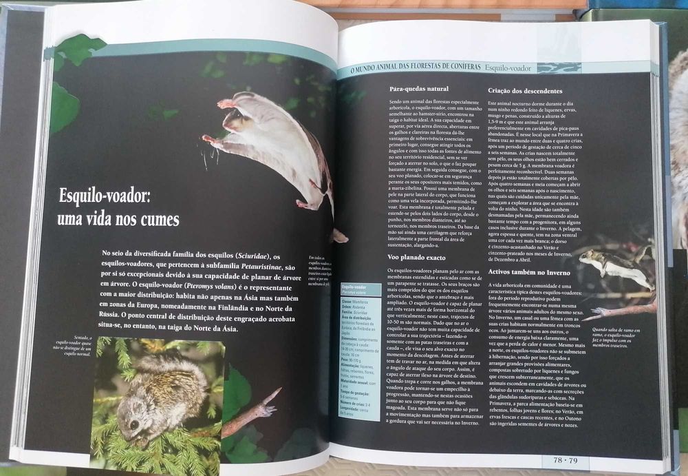 Coleção Livros "Paraísos Animais" - Circulo de Leitores