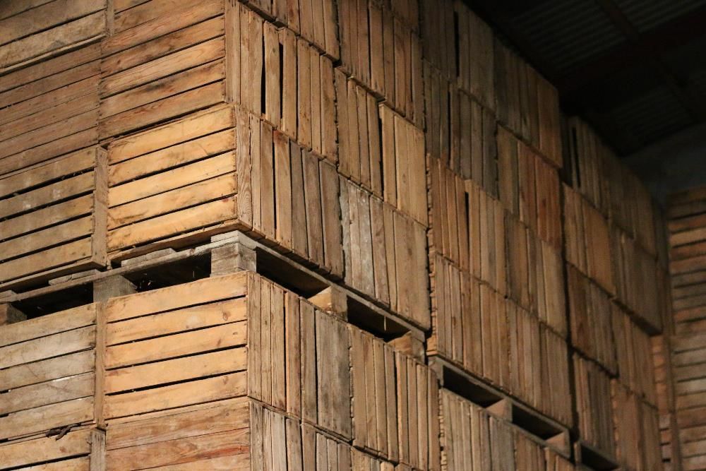 Kupimy duże ilości skrzynek/klatek jedynek. ( Skrzynki/klatki jedynki)