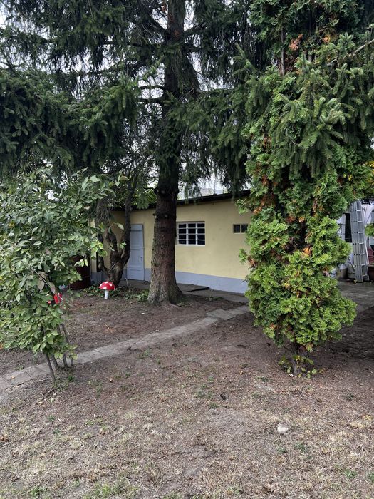 Działka ROD, ul. Działkowców Września, 400 m² - Więcej