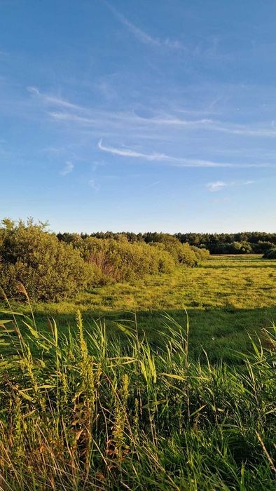 Działka nad morzem (4 minuty rowerem). - Widok 2