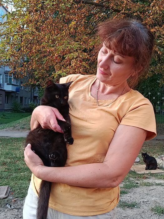 Угольок в пошуках родини