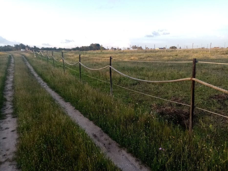 Cordas (cabos marítimos).Para fazer picadeiros