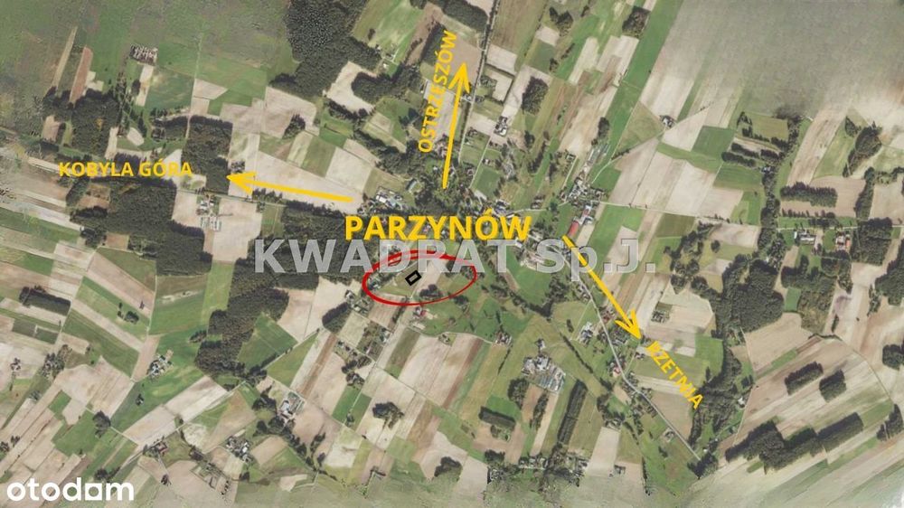 Działka, Parzynów
