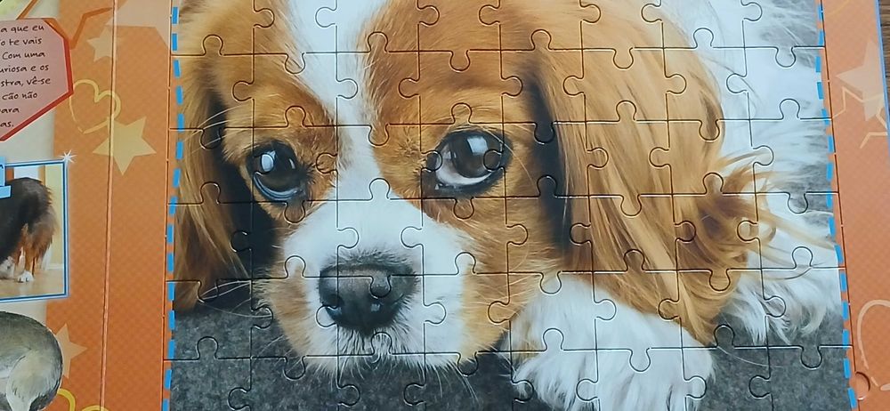 O meu livro puzzle de cães
