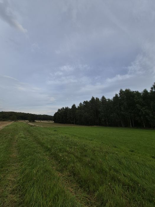 Sprzedam działki siedliskowe 3000 m²