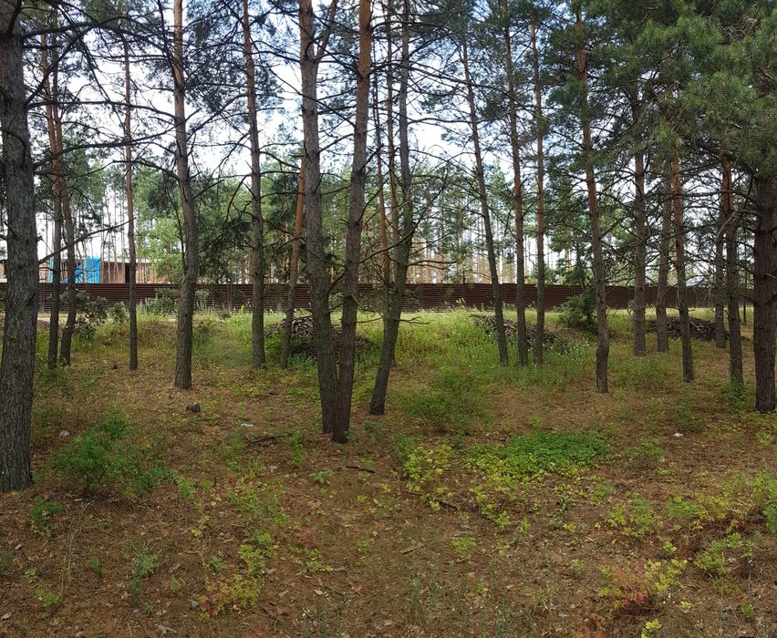 Земельна ділянка під КМ с. Лебедівка