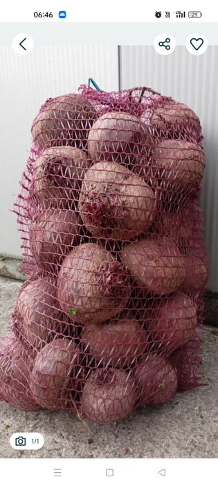 Buraczki czerwone 20 kg !