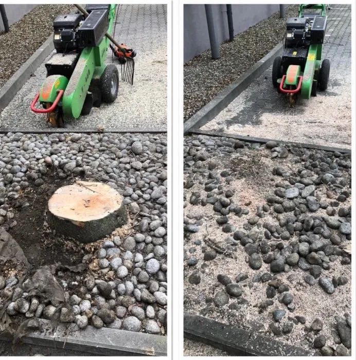 Wycinka i pielęgnacja drzew, frezowanie pni, usługi rębakiem