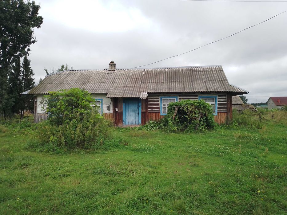 Великий дерев'яний будинок у селі Бузаки