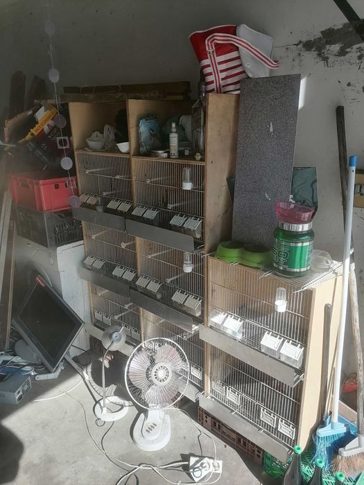 gaiolas/vivieiros para pássaros (criação)