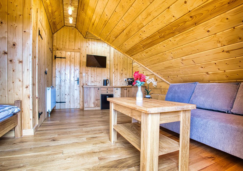 Studio apartament z łazienką balkonem lub tarasem w uroczej chacie z bali.