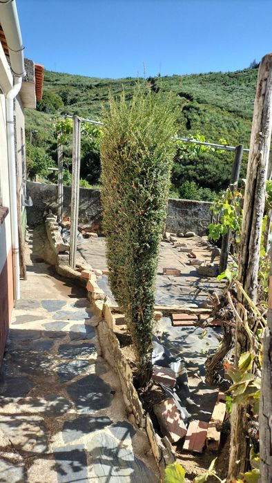 Duas Moradias, Aldeia das Dez, Baixa de preço, Pronto a escriturar