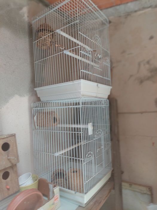 Gaiolas para passaros