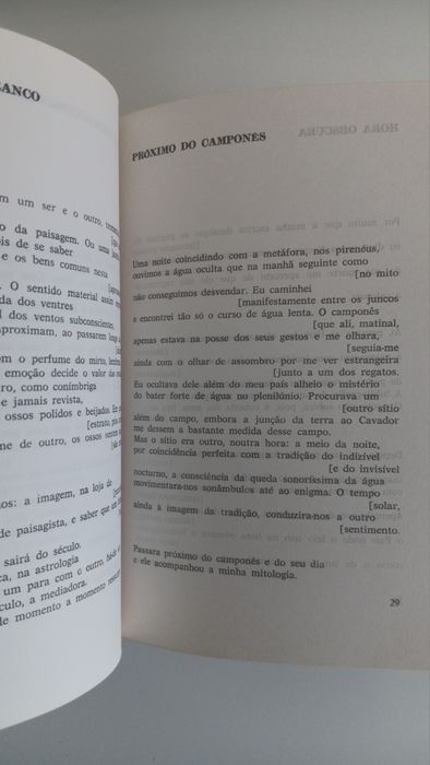 Fiama Brandão, F de Fiama