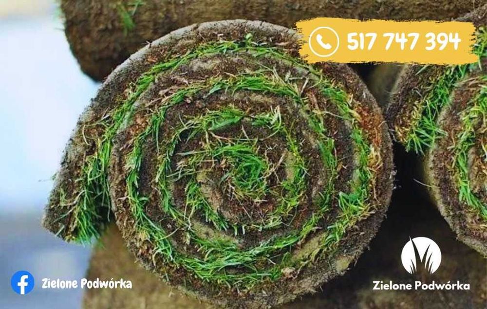 Trawa w rolce. Dostawa do klienta. Chłodzona próżniowo