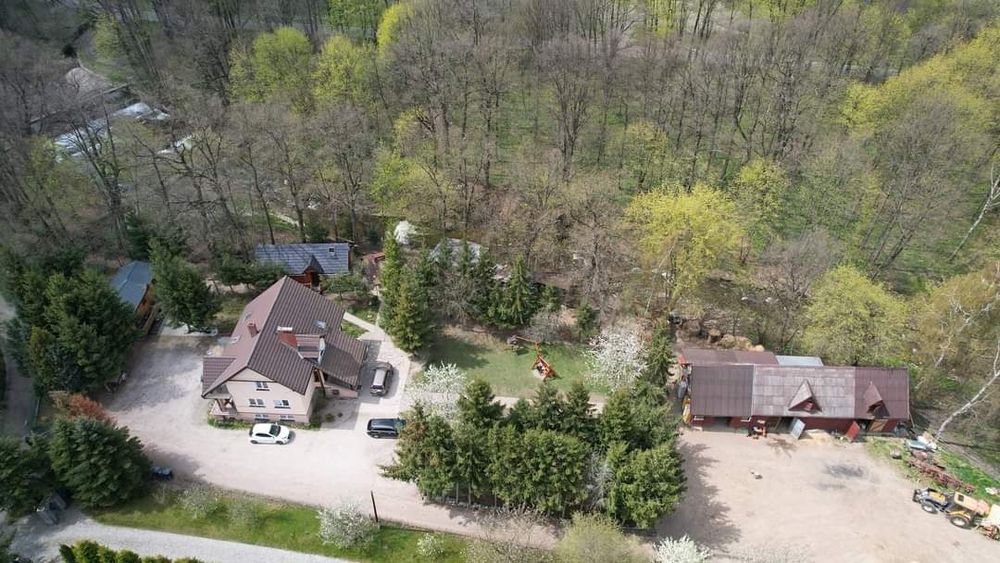 Domek 8 osobowy wolny od dzisiaj !!!