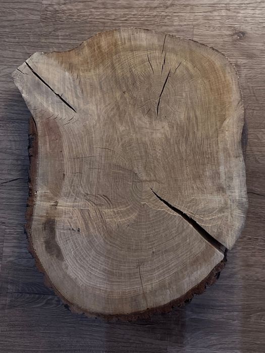 Plastry dębowe na stroiki