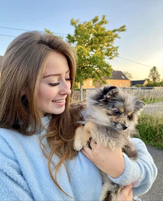 Доставка животных заграницу. Перевозка в Європу. Доставка тварин.