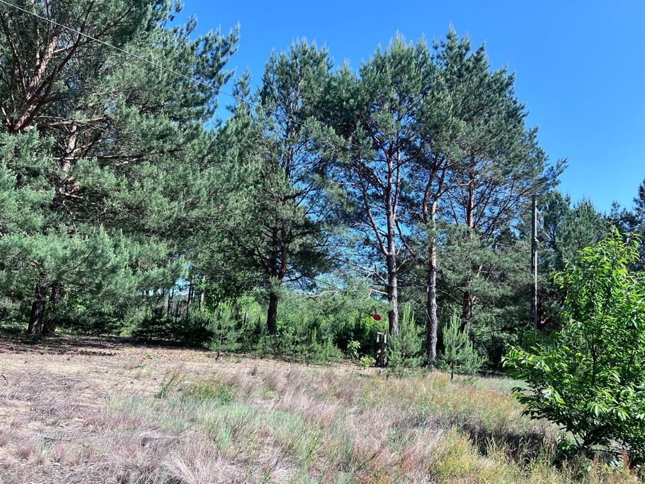 Dzialka 3129 m2 blisko Warszawy
