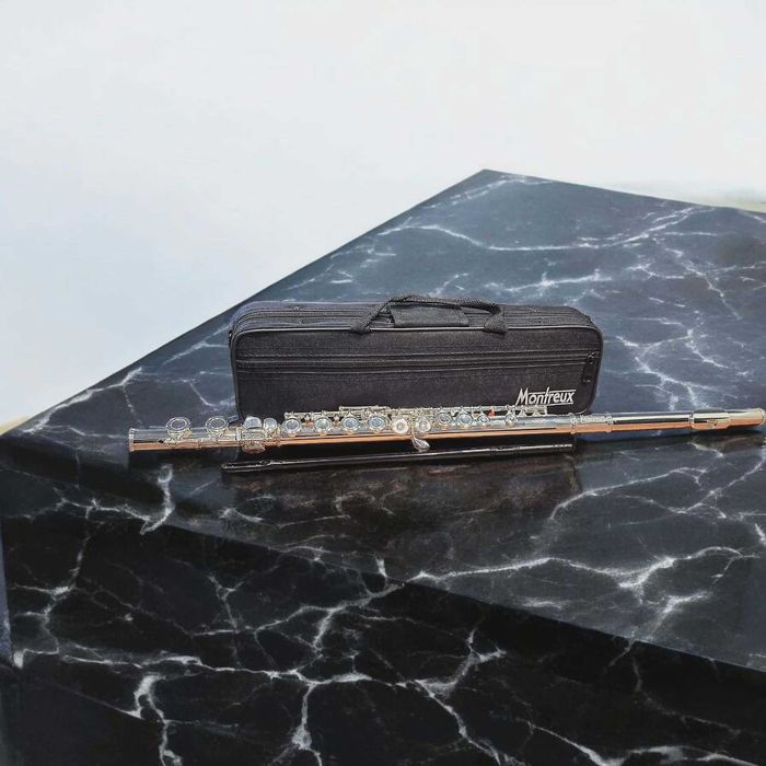 Flet Montreux dla początkujących