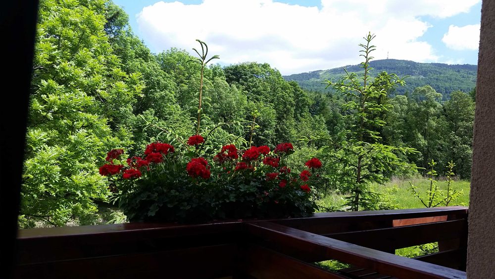 Apartamenty i Pokoje pod Czyrną przy Gondoli