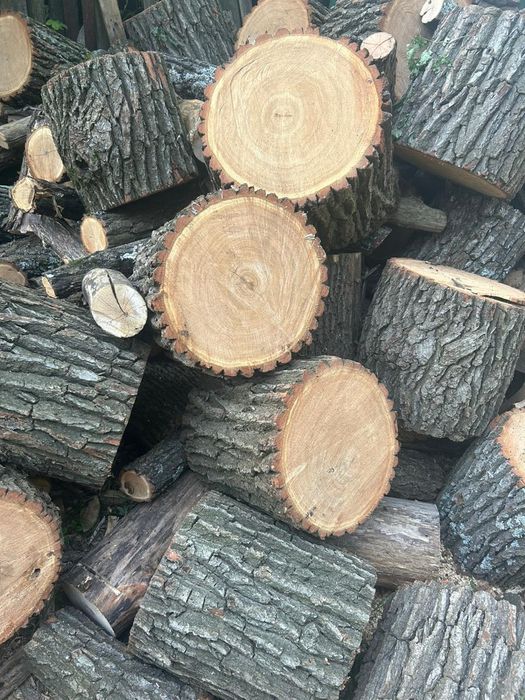 Продам дрова дубовые