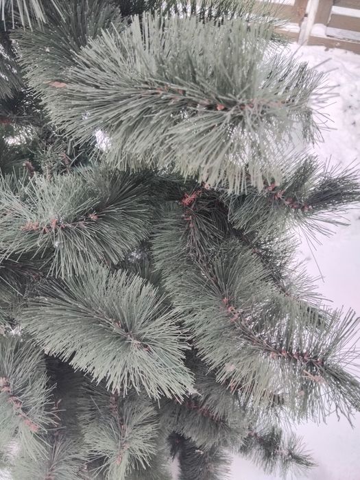 Новорічна ялинка