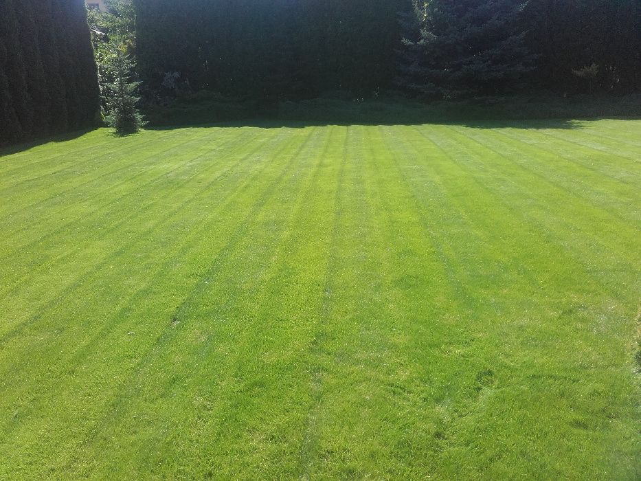 Ogrody, Usługi ogrodnicze, zakładanie trawników,Pielęgnacja ogrodów