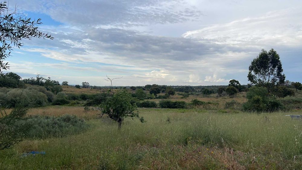 Quinta com 6.3ha+ T1, 52m2