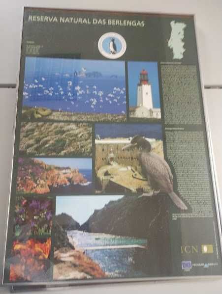 5 Quadros de poster Areas Protegidas e de Lisboa