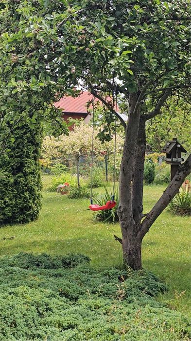 Działka rekreacyjna, ogródek działkowy ROD Puszcza Bukowa Szczecin - Więcej