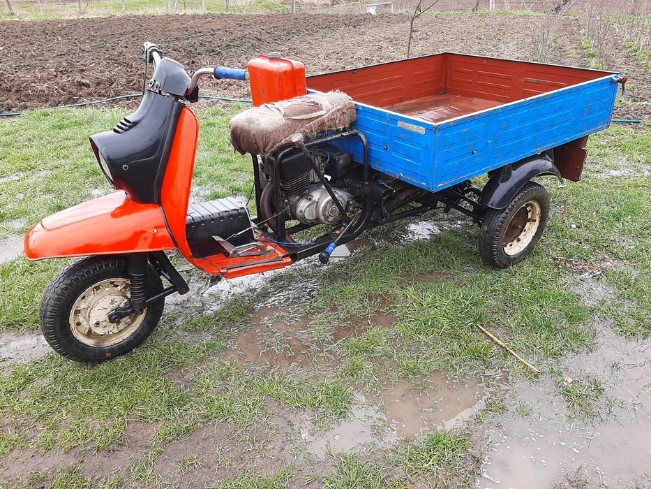 Муравей с документами