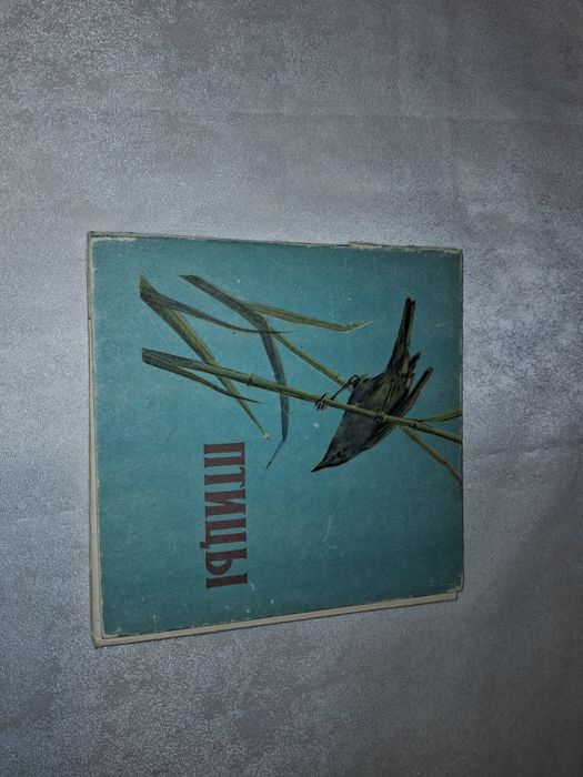 Птицы книжка-раскладка