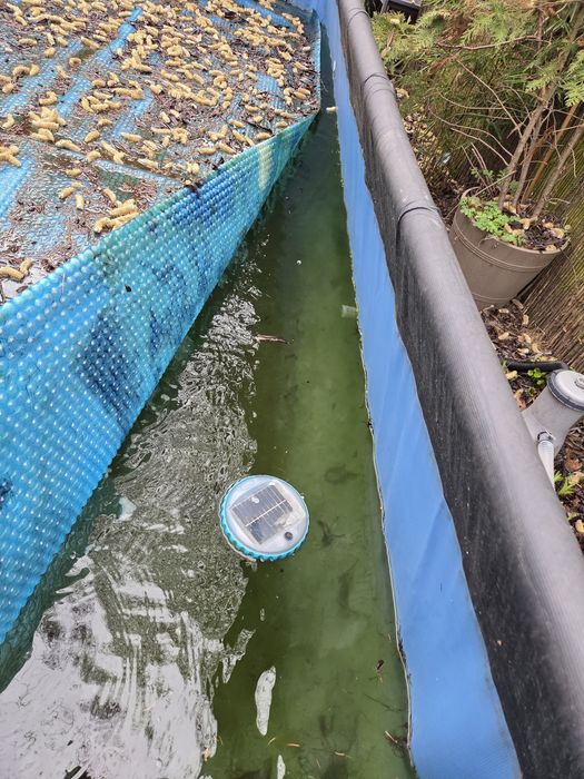 Basen stelażowy Prism 488x244x107cm