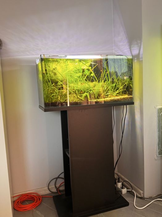 Akwarium 60x30x30