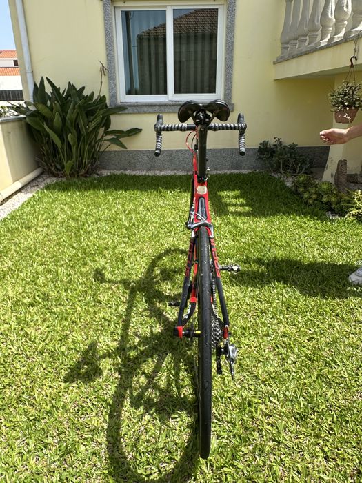 Focus Izalco c/potenciómetro