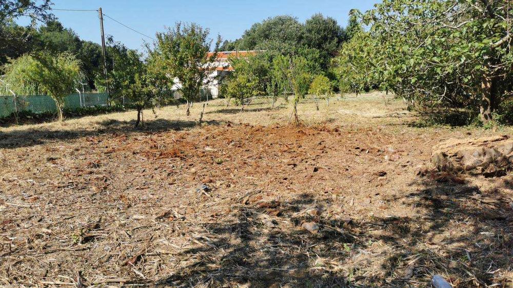 Remoção de entulho, drenagem, remodelações e construção de moradias