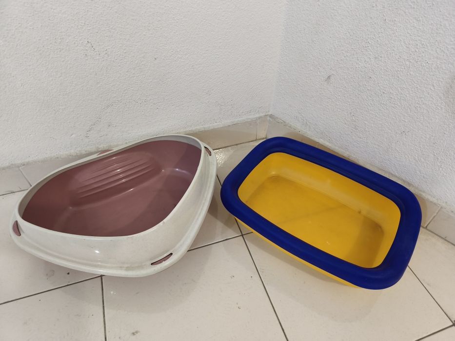 Casa de banho gatinhos
