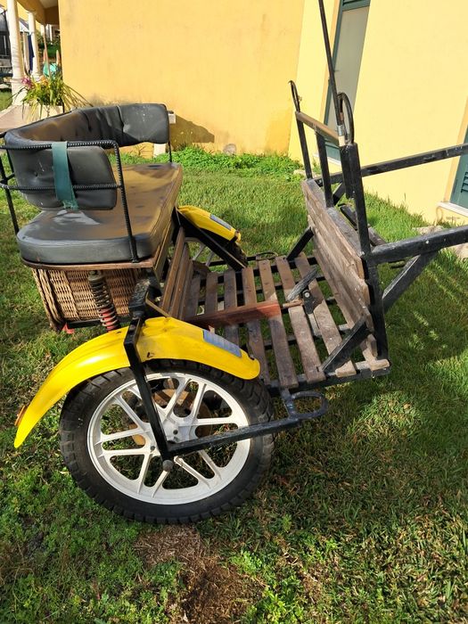 Charrete de duas rodas com travão de disco