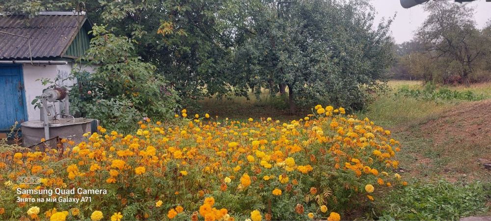 Продам будинок 70 км від Києва