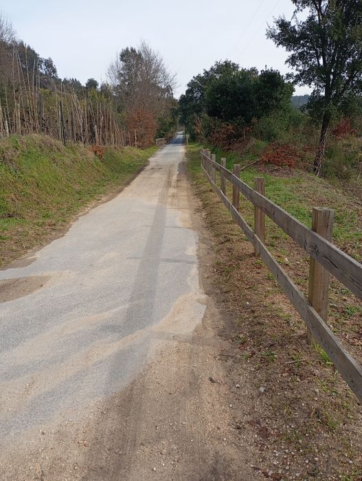 Terreno entre a ecopista e o rio dão
