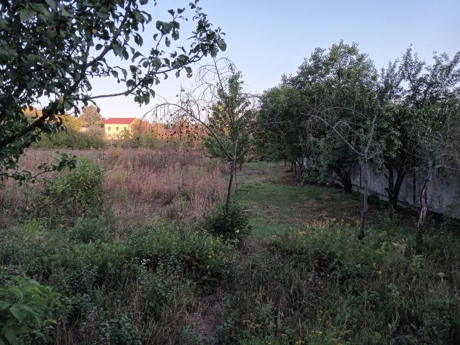 ПРОДАЖ! Земельна ділянка 15 сот.,  Супрунівка
