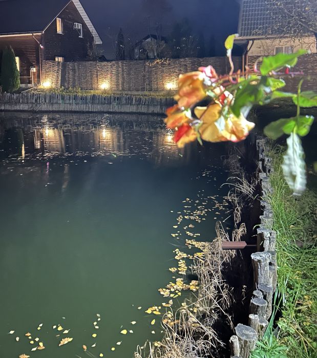 Оренда будинку, камін  баня мангал  більярд