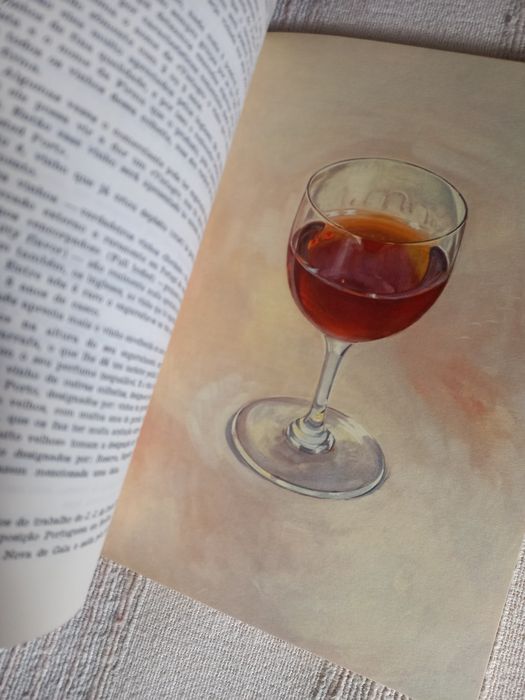 Dois livros antigos sobre vinhos
